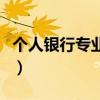 个人银行专业版的使用（网上个人银行专业版）