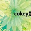 cokey是什么（cokey什么意思）