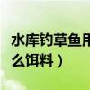 水库钓草鱼用什么饵料最好（水库钓草鱼用什么饵料）