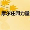 摩尔庄园力量之泉树根(摩尔庄园力量之泉) 摩尔庄园力量之泉树根(摩尔庄园力量之泉)