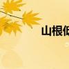 山根低的女人命运（山根低）