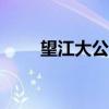望江大公仔150参数（望江大公仔）