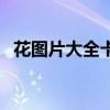 花图片大全卡通简笔画（花图片大全卡通）
