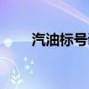 汽油标号调整方法（汽油标号调整）