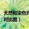 天然和染色玛瑙对比图高清（天然和染色玛瑙对比图）