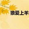 狼爱上羊简谱伴奏（狼爱上羊简谱）