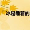 冰是睡着的水谁是叛徒（冰是睡着的水）