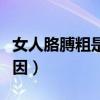 女人胳膊粗是怎么回事（女人胳膊粗是什么原因）
