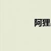 阿狸出装顺序（阿狸出装）