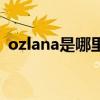 ozlana是哪里的牌子（ozlana是什么牌子）