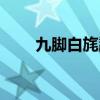 九脚白旄纛图片（九足白毛大纛旗）