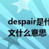 despair是什么意思中文意思（despacito中文什么意思）