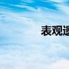 表观遗传的特点（表观遗传）