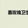 喜玫瑰卫生巾的质量（喜玫瑰卫生巾）