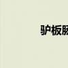 驴板肠多少钱一斤（驴板肠）