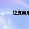 蛇皮黄瓜的家常做法（蛇皮黄瓜）