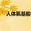 人体氨基酸有多少种（氨基酸有多少种）