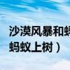 沙漠风暴和蚂蚁上树什么意思(沙漠风暴水晶蚂蚁上树) 沙漠风暴和蚂蚁上树什么意思(沙漠风暴水晶蚂蚁上树)