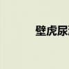 壁虎尿液真的有毒吗(壁虎尿) 壁虎尿液真的有毒吗(壁虎尿)