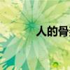 人的骨架图清晰(人的骨架图) 人的骨架图清晰(人的骨架图)