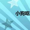 小狗呕吐白色泡沫（小狗呕吐）