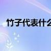 竹子代表什么人生追求（竹子代表什么人）
