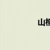 山楂酒的做法（山楂酒）