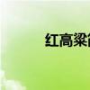 红高粱简介50字（红高粱简介）