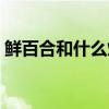 鲜百合和什么炒最好（百合炒菜的做法大全）