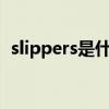 slippers是什么（slipper是什么意思中文）