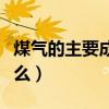 煤气的主要成分是什么（沼气的主要成分是什么）