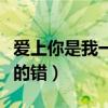 爱上你是我一生的错吉他谱（爱上你是我一生的错）