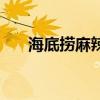 海底捞麻辣香锅底料（麻辣香锅底料）