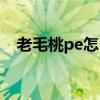 老毛桃pe怎么去掉自带软件（老毛桃pe）