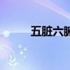 五脏六腑对应的五行（五脏六腑）