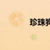 珍珠狗头鱼好养吗（珍珠狗）