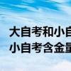 大自考和小自考含金量有什么区别（大自考和小自考含金量）