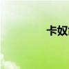 卡奴鸽子的特点（卡奴鸽）