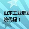 山东工业职业学院代码查询（山东工业职业学院代码）
