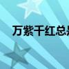 万紫千红总是春 全诗（万紫千红总是春）