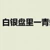 白银盘里一青螺前面一句（白银盘里一青螺）