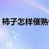 柿子怎样催熟快又脆又好吃（柿子怎样催熟）