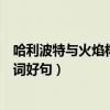 哈利波特与火焰杯好词好句摘抄中文（哈利波特与火焰杯好词好句）