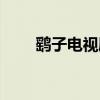 鹞子电视剧剧情介绍（鹞子电视剧）