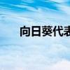 向日葵代表什么意思（代表什么意思）