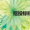 招投标标书是什么（招投标标书）