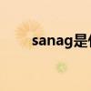 sanag是什么牌子(ag是什么牌子) sanag是什么牌子(ag是什么牌子)