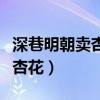 深巷明朝卖杏花的上一句是什么（深巷明朝卖杏花）