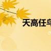 天高任鸟飞前半句（天高任鸟飞）