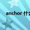anchor 什么意思（ancestor什么意思）